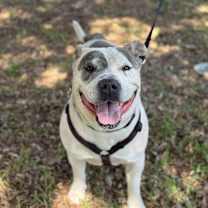 Thumbnail photo of Jaden aka Moo #4