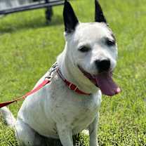 Thumbnail photo of Neighbor #3