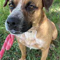 Thumbnail photo of Mason #1