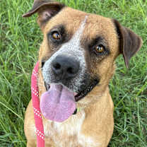 Thumbnail photo of Mason #3