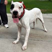 Thumbnail photo of Aurelio #1