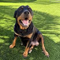 Thumbnail photo of Tahiti  #1