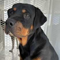 Thumbnail photo of Tahiti  #3