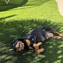 Thumbnail photo of Tahiti  #4