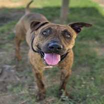 Thumbnail photo of Marius #1