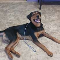 Thumbnail photo of Castle #2