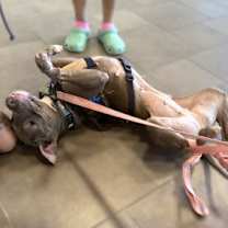 Thumbnail photo of Daphne #3