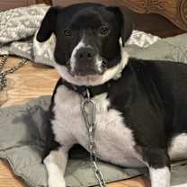 Thumbnail photo of Luna #1