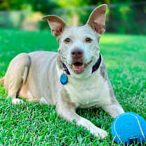 Thumbnail photo of Doris aka Dora #1