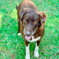 Thumbnail photo of Jake #3