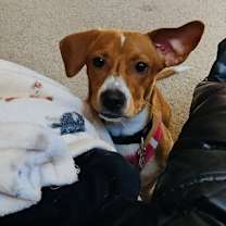 Thumbnail photo of Brooks #4