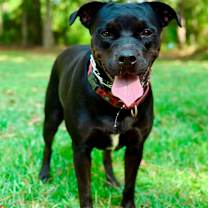 Thumbnail photo of Olive #2