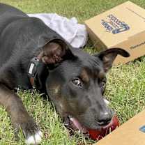 Thumbnail photo of Maurice #2