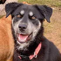 Thumbnail photo of Jolene #1