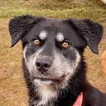 Thumbnail photo of Jolene #3