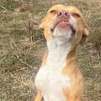 Thumbnail photo of Tiny #3