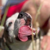 Thumbnail photo of Millie #2