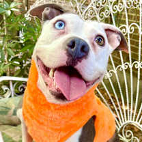 Thumbnail photo of Lucinda #3