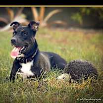 Thumbnail photo of Maurice #4