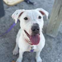 Thumbnail photo of Evie #1