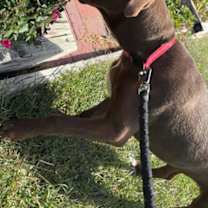 Thumbnail photo of Emerson #3