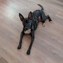 Thumbnail photo of Trooper #1