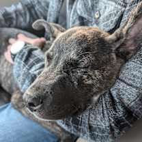 Thumbnail photo of Trooper #3