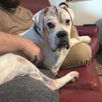 Thumbnail photo of Jasper #4