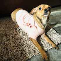 Thumbnail photo of Tinker  #2