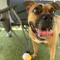 Thumbnail photo of Sam #1