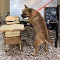 Thumbnail photo of Sam #3