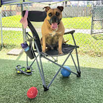 Thumbnail photo of Sam #4