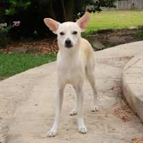 Thumbnail photo of Swiper #3