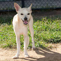 Thumbnail photo of Swiper #4