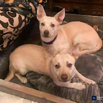 Thumbnail photo of Chrissy/Charlotte (local) courtesy post #1