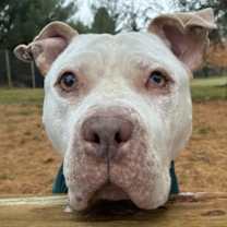 Thumbnail photo of Mims #1