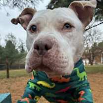 Thumbnail photo of Mims #2