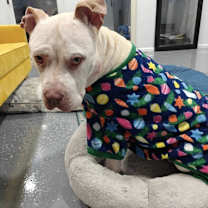 Thumbnail photo of Mims #3