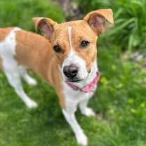 Thumbnail photo of Minka #2