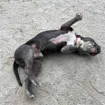 Thumbnail photo of Daryl #4