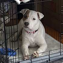 Thumbnail photo of Layla #1