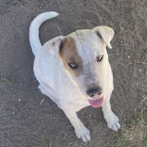 Thumbnail photo of Layla #3