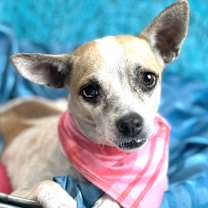 Thumbnail photo of Bess #1