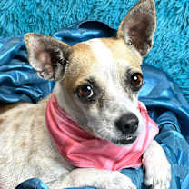 Thumbnail photo of Bess #2