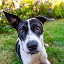 Thumbnail photo of Lettie #1