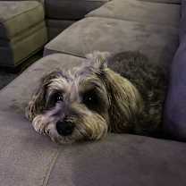 Thumbnail photo of Mana #1