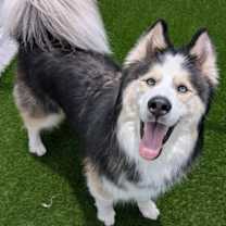 Thumbnail photo of Maxx #2