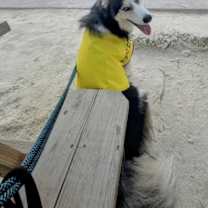 Thumbnail photo of Maxx #3