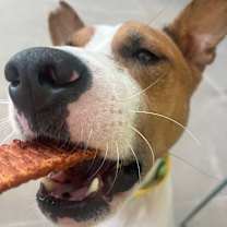 Thumbnail photo of Watercolor #4