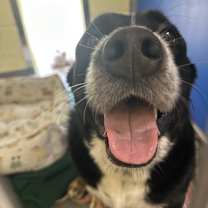 Thumbnail photo of Dolly #2